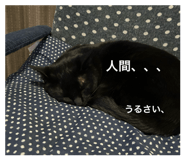 881016473