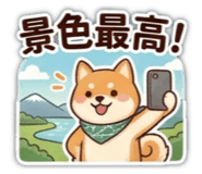 881035461