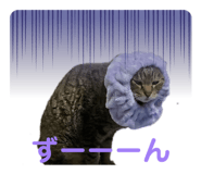 881035650