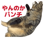 881035658