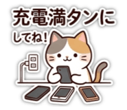 881049003