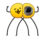 881049155
