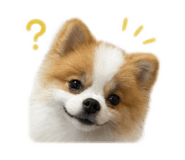 881050827