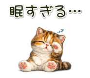 881078413