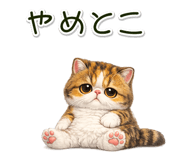 881078424