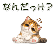 881078425