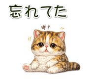 881078426