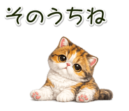 881078428