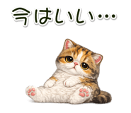 881078429