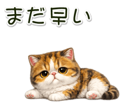 881078431