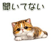 881078435