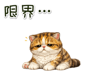 881078439