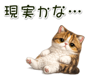 881078442
