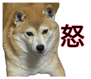 881081644