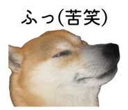 881081648