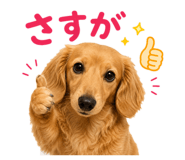 881082606