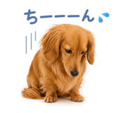 881082614