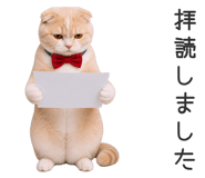 881084698