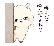 881086456