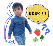 881087291