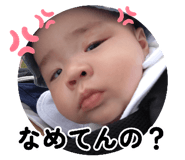 881087480