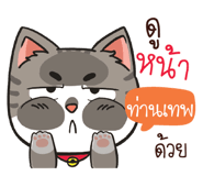 881100116