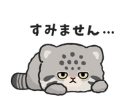 881108480