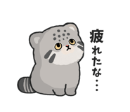 881108497