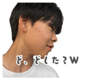 881114066