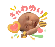 881114092
