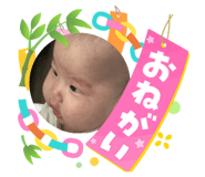 881114097
