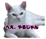 881114273