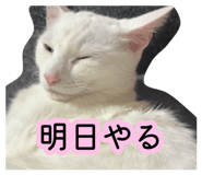 881114276