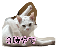 881114279