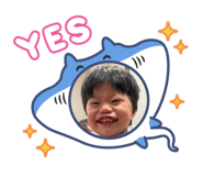881115067