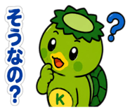 881115084