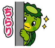 881115096