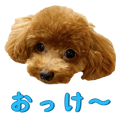 881115169