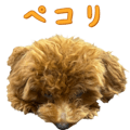 881115171
