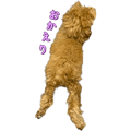 881115175