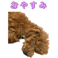 881115176