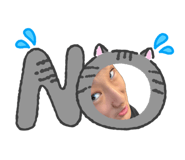 881115238