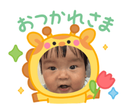 881116185