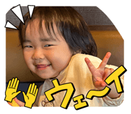 881116206