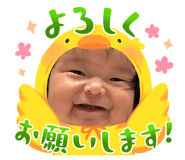881116208