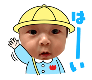 881116217
