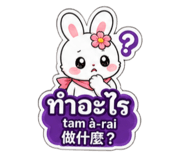 881116455