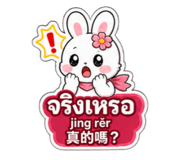 881116457