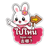 881116463