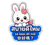 881116464